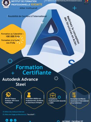 Formation Autodesk Advance steel