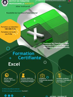 Formation Microsoft Ms Excel