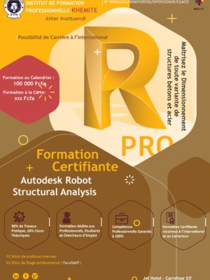 Formation Autodesk Robot structural analysis professional ( RSAP )