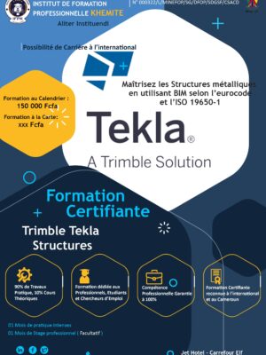 Formation Trimble Tekla structures