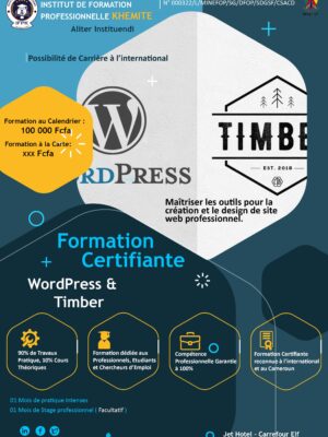 Formation Wordpress , Timber